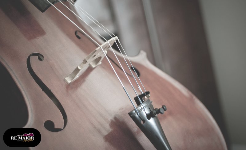 Como a Umidade e o Calor Afetam Violinos, Violas e Cellos